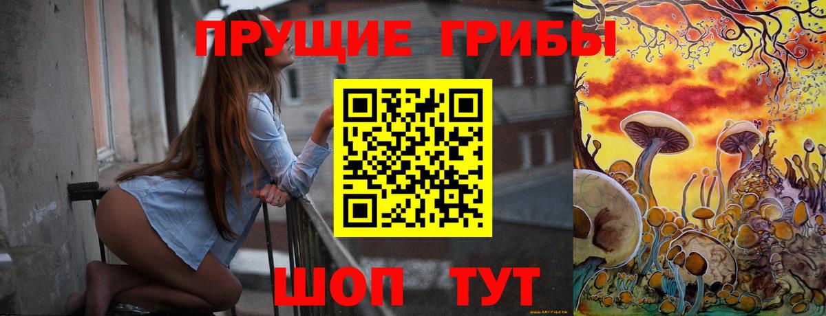 Псилоцибиновые грибы MAGIC MUSHROOMS  продажа наркотиков  Дмитров  Вход с VPN 
