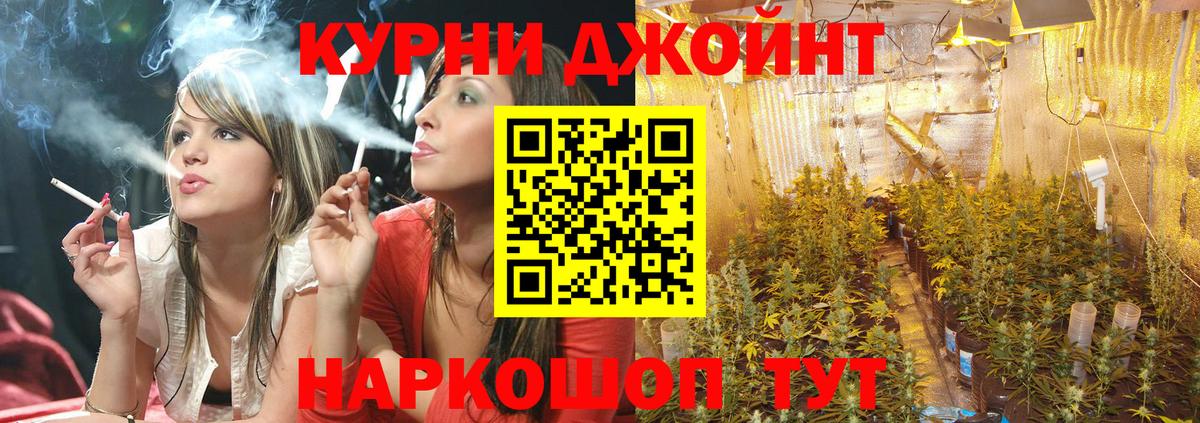 Дмитров  Конопля Bruce Banner  Канабис White Widow  Марихуана ГИДРОПОН  Вход с VPN 